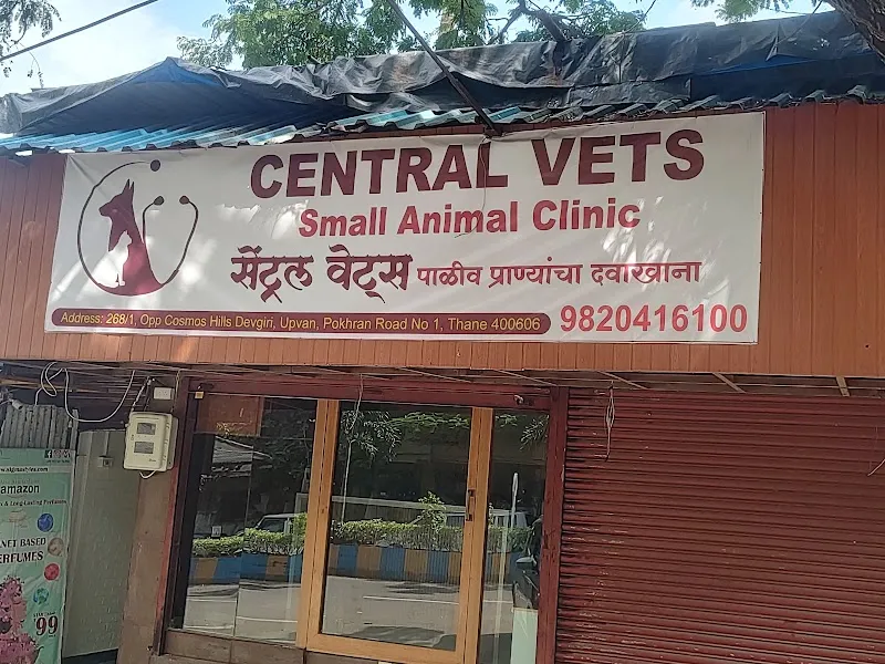 Central Vets Small Animal Clinic photo