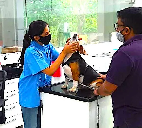 Cessna Lifeline Veterinary Hospital, Navi Mumbai photo
