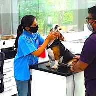Cessna Lifeline Veterinary Hospital, Navi Mumbai photo