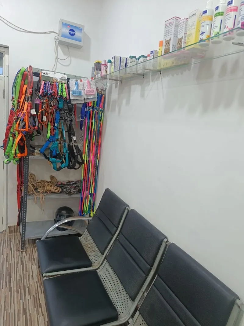 Chandra’s pet clinic photo
