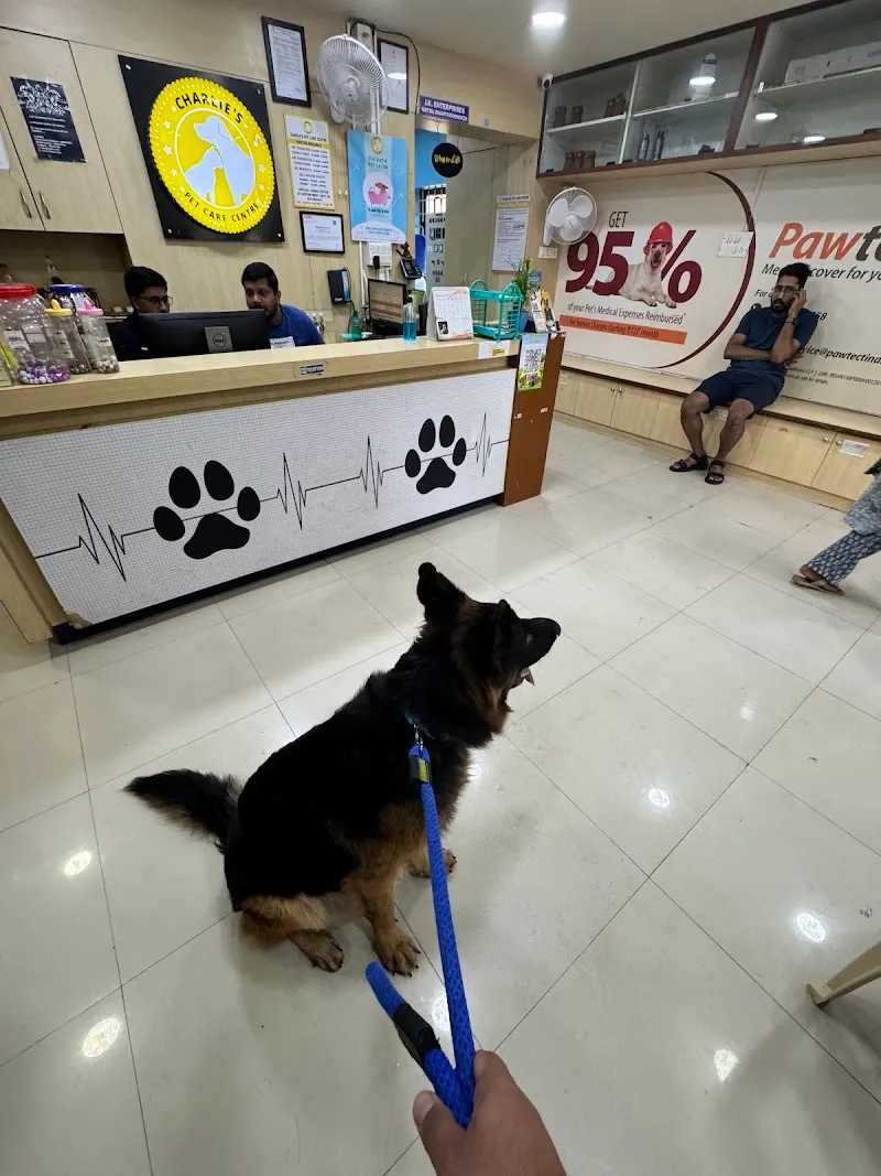 CHARLIE’S PET CARE CENTRE photo