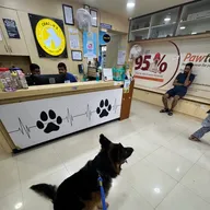 CHARLIE’S PET CARE CENTRE photo