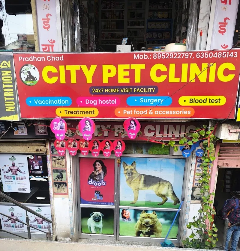 City pet clinic Jaipur photo