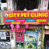 City pet clinic Jaipur photo