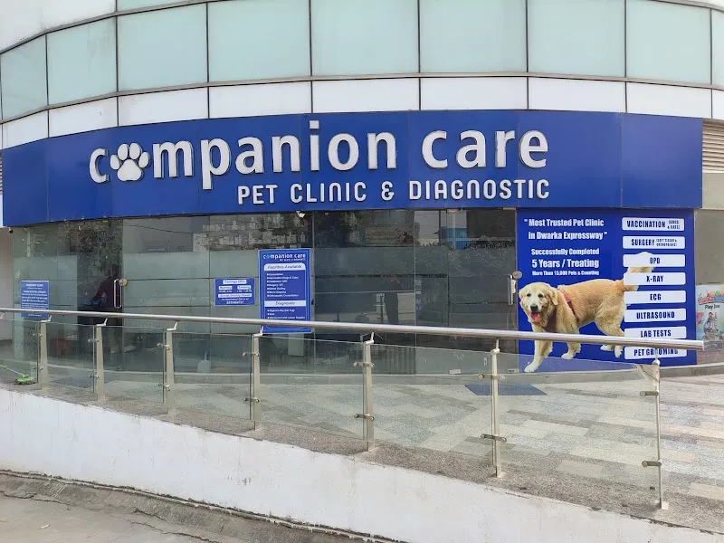 Companion Care Pet Clinic and Diagnostic photo