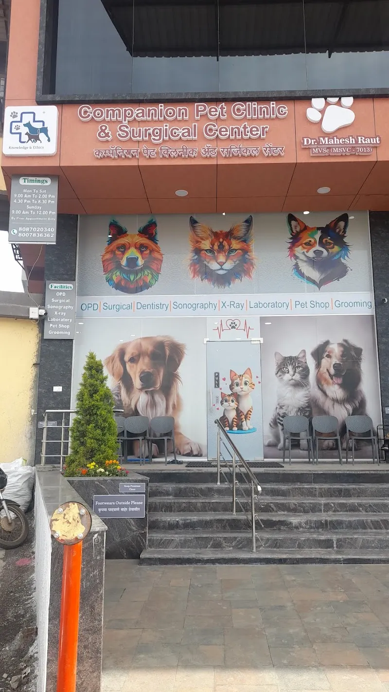 Companion Pet Clinic & Surgical Centre Dr.Mahesh Raut photo