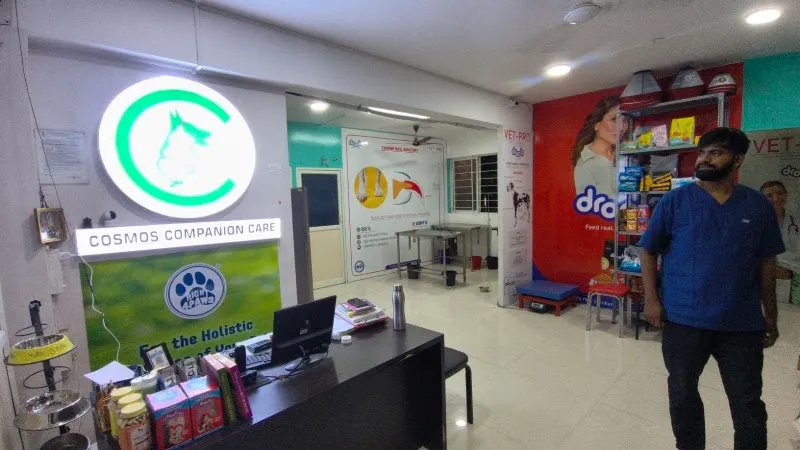 Cosmos Companion Care 24/7 | Best Pet Hospital BTM Layout photo