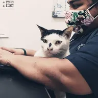 Crown Vet Khar photo