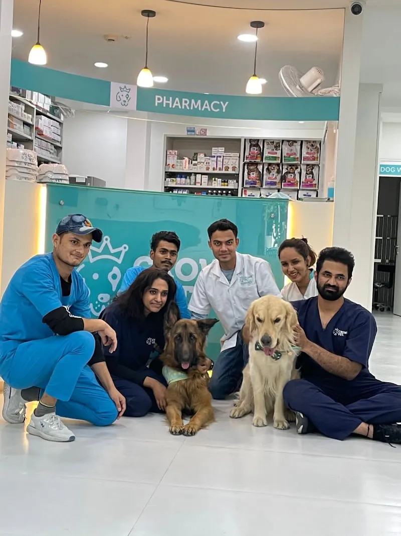 Crown Vet Koramangala photo