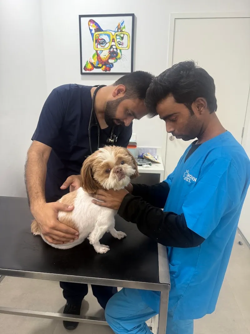 Crown Vet photo
