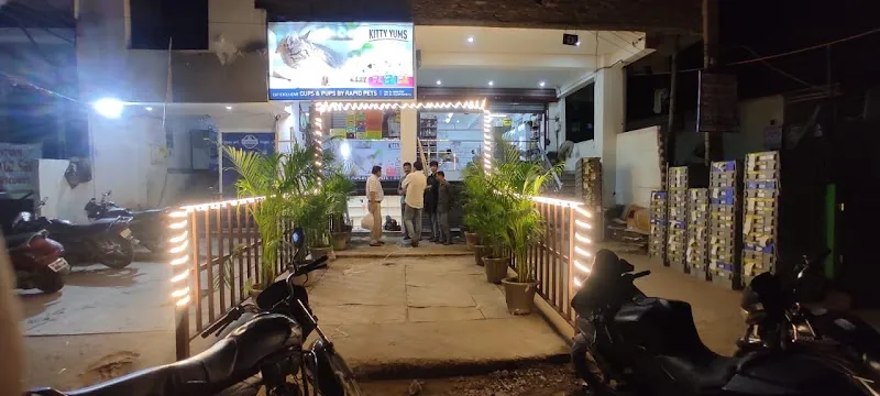 Cups & Pups | Abul Fazal | Pet Clinic photo
