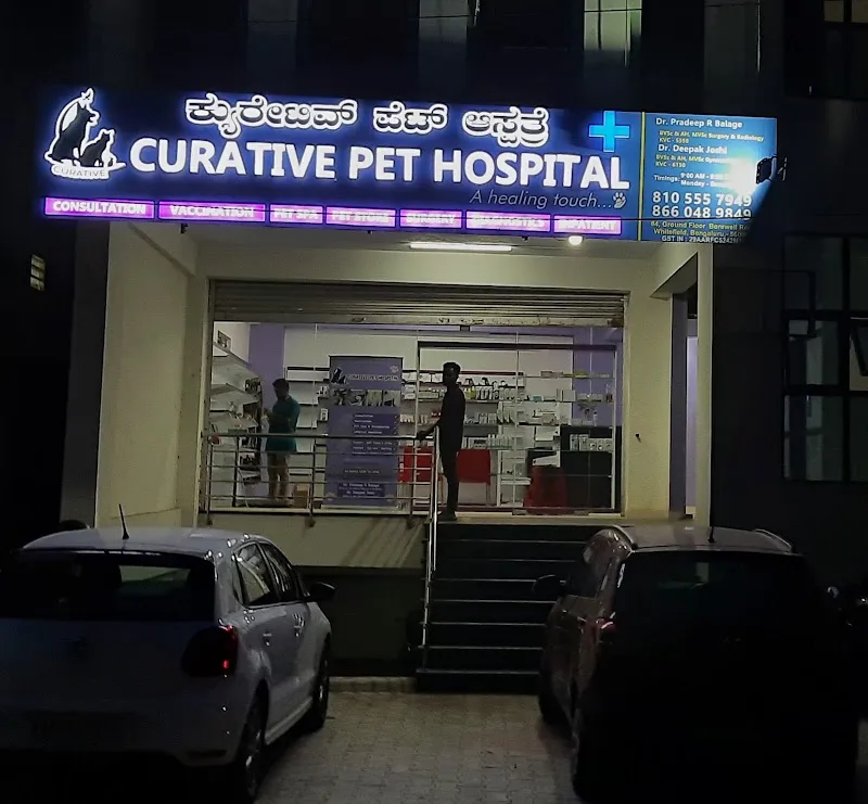 Curative Pet Hospital photo