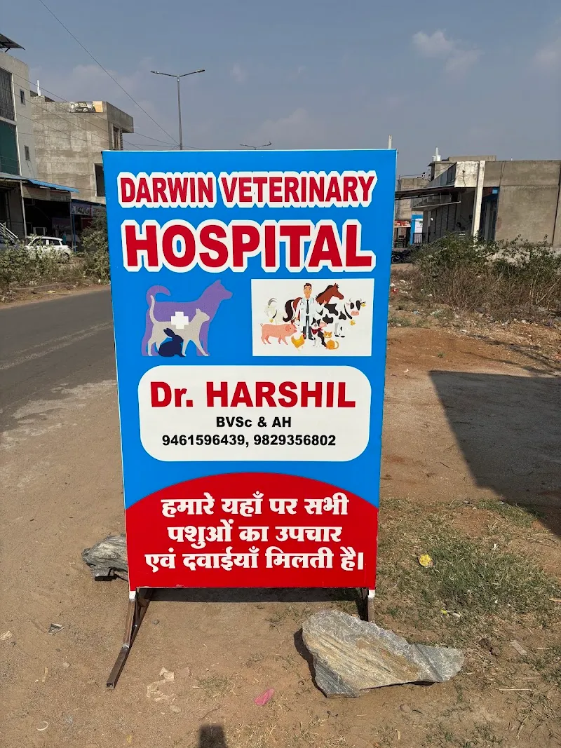 Darwin Pet Hospital photo