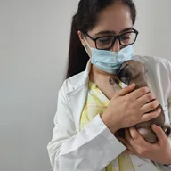 DCC Animal Hospital and Pet Care Centre photo