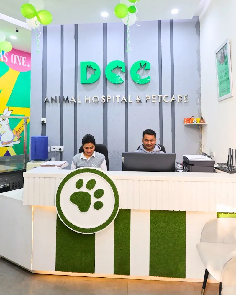 DCC Animal Hospital & Petcare (South Extension 2) photo