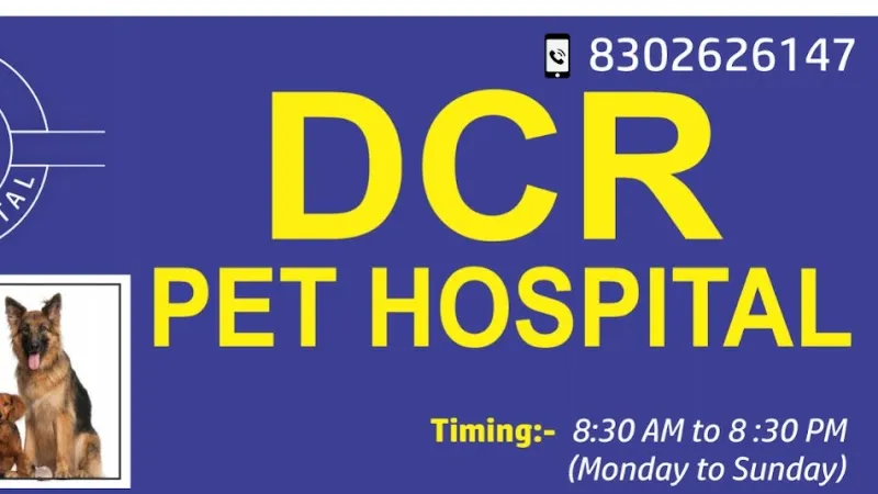 DCR Pet Hospital photo