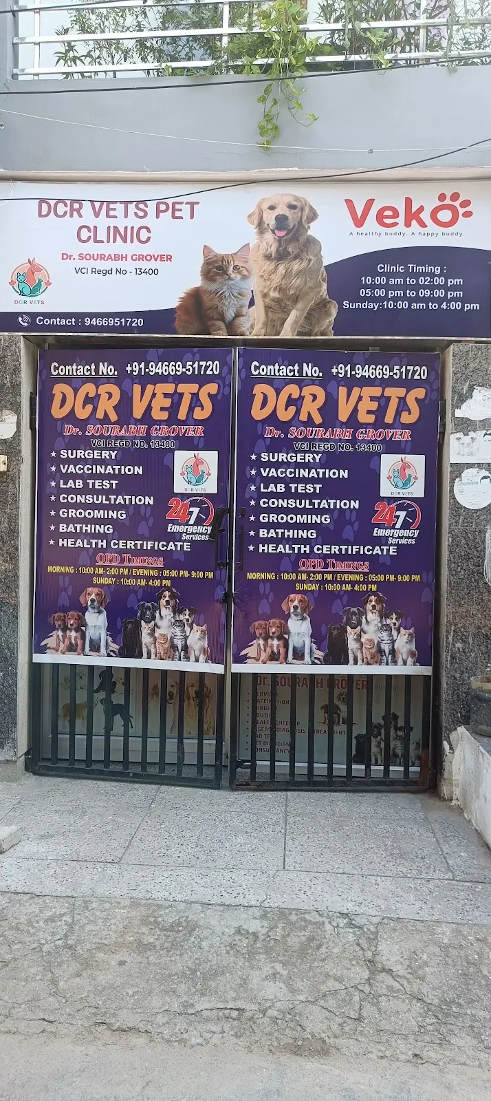 DCR Vets photo
