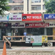 DLF Pet Clinic (Dr. S. Chhillar) photo