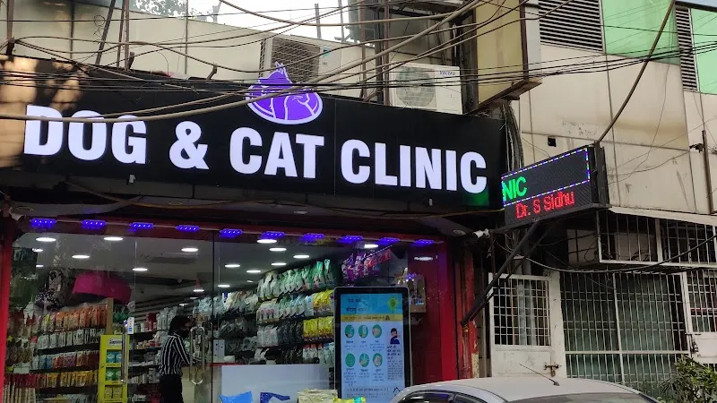 DOG & CAT CLINIC photo