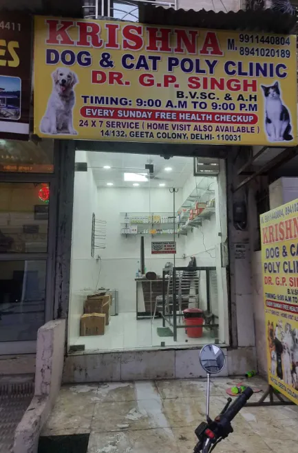 Dog and Cat Polyclinic photo