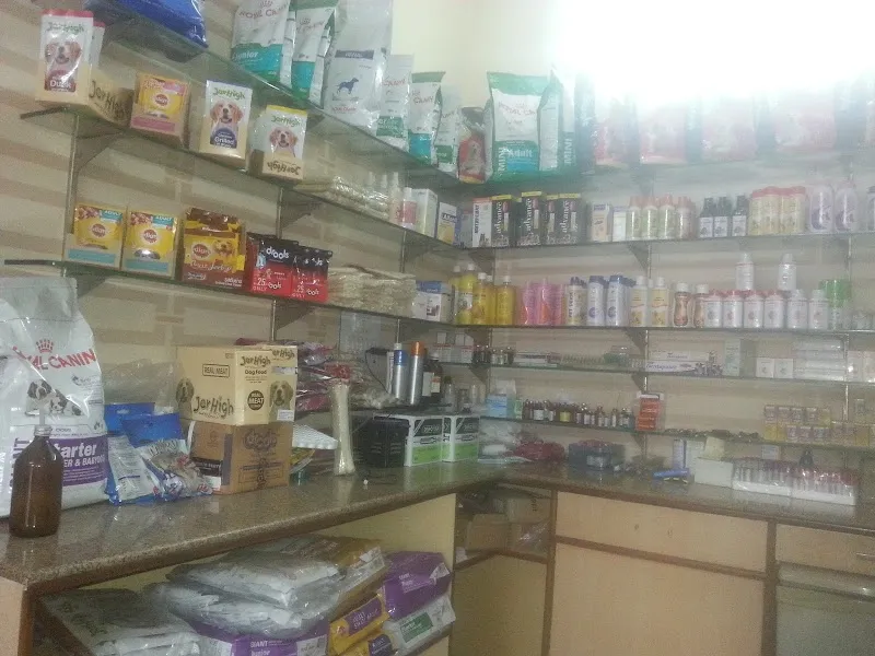 Dog Care Clinic (Sector 14, Faridabad) photo
