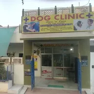 Dog Clinic photo