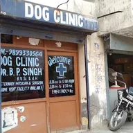 Dog clinic photo