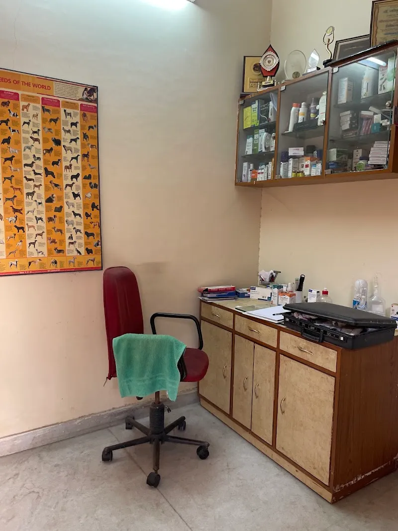 Dog N Pet Clinic photo