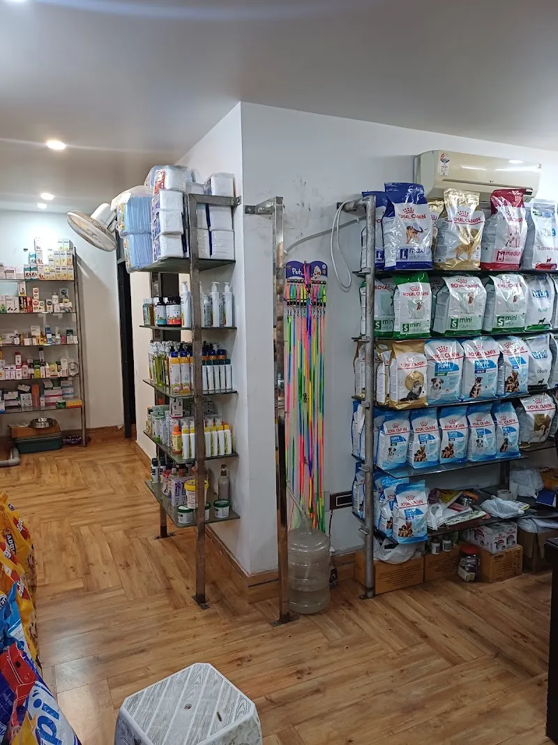 Dogs and cats clinic photo