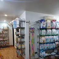 Dogs and cats clinic photo