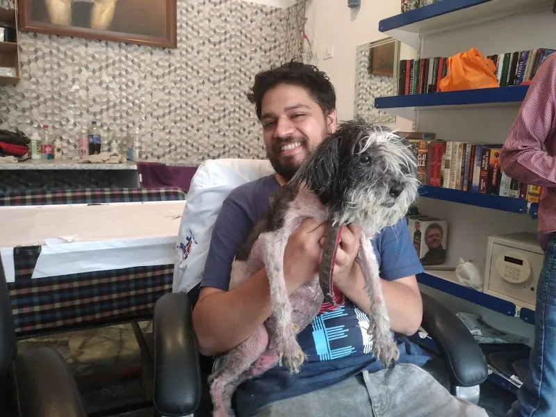 Dph’s Max Pet photo