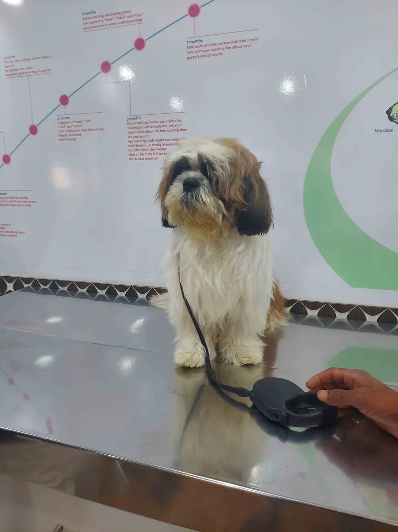 Dr.Aher’s Pet Care Center photo
