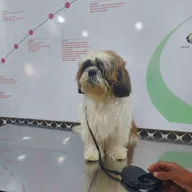 Dr.Aher’s Pet Care Center photo