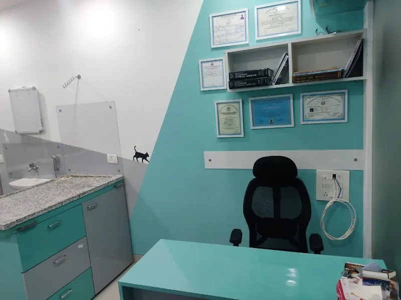 Dr. Amol’s Small Animal Surgery & vaccinations |Best best veterinary Doctor|Dental care| Surgery Emergency vet| in Mumbai photo