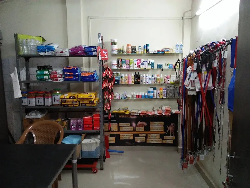 Dr Anils Pet Animal Clinic JVLR photo