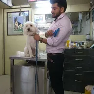 Dr. Ankush Maini’s Pet Clinic & Surgery photo