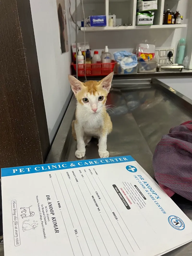 Dr ANOOP’S PET CLINIC & CARE CENTER|PET CLINIC|VETERINARY DOCTOR|PET VACCINATION| photo