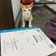 Dr ANOOP’S PET CLINIC & CARE CENTER|PET CLINIC|VETERINARY DOCTOR|PET VACCINATION| photo