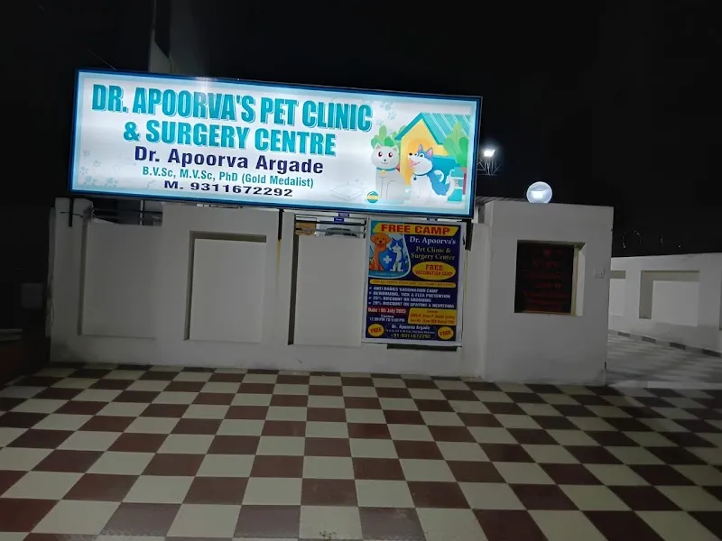 Dr Apoorva’s pet clinic – Best Veterinarian | Best Pet Doctor photo