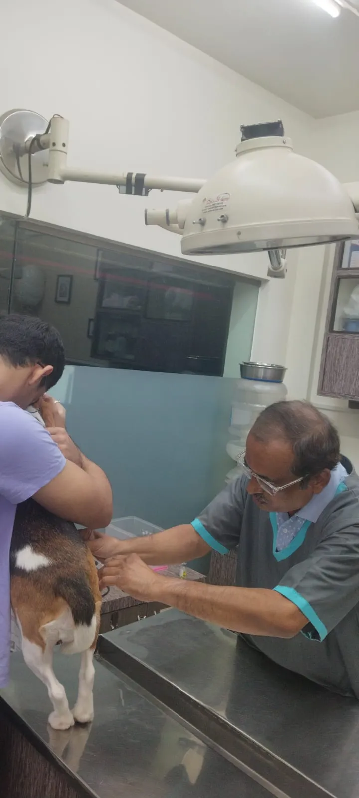 Dr. Avinash’s PET ANIMAL CLINIC photo