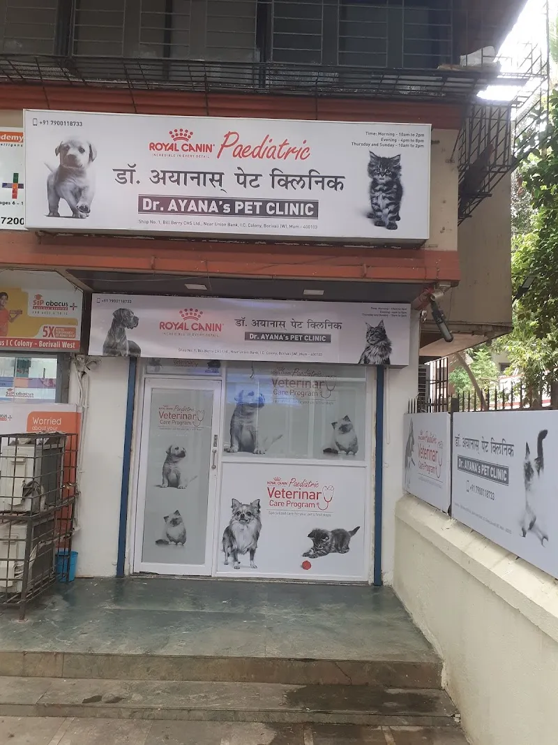Dr. Ayana’s Pet Clinic photo
