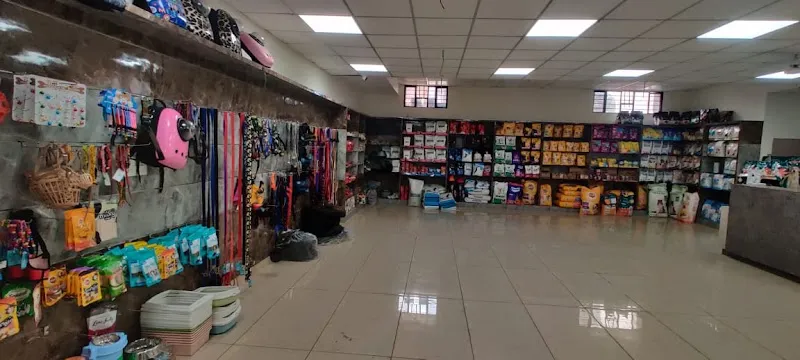Dr. Chawla’s Pet Hospital – Pet Hospital in Mansarover | Veterinarian | Grooming Studio in Mansarover jaipur. photo