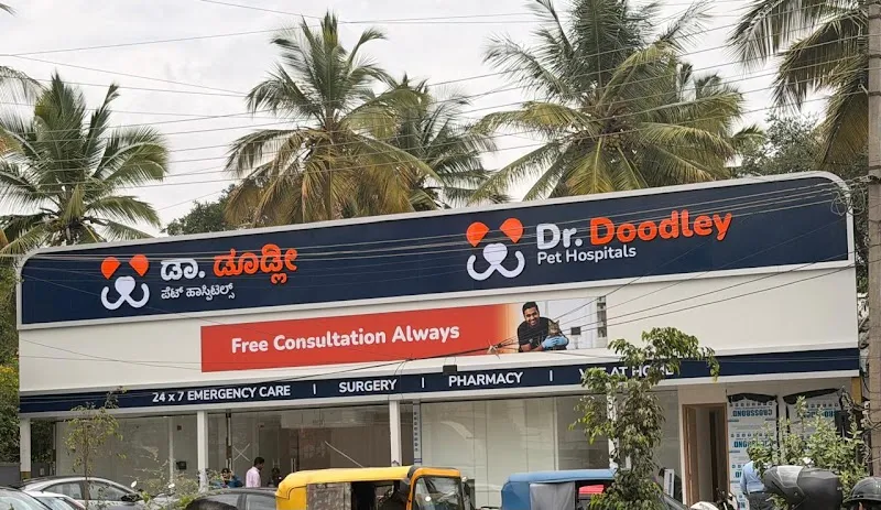 Dr. Doodley Pet Hospital Bellandur – 24×7 photo