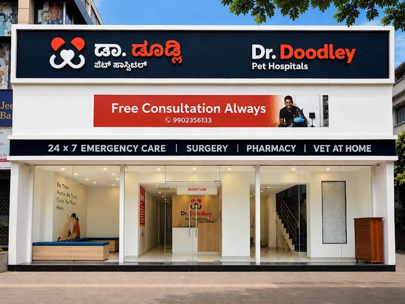 Dr. Doodley Pet Hospital Indiranagar – 24×7 photo