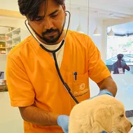 Dr. Doodley Pet Hospital Jayanagar – 24×7 photo