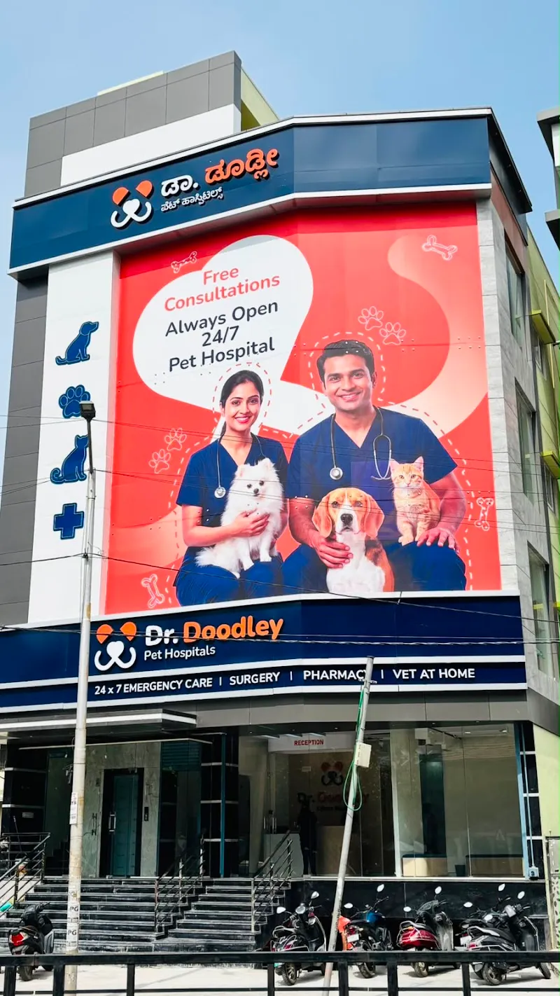 Dr. Doodley Pet Hospital kalyan Nagar – 24×7 photo