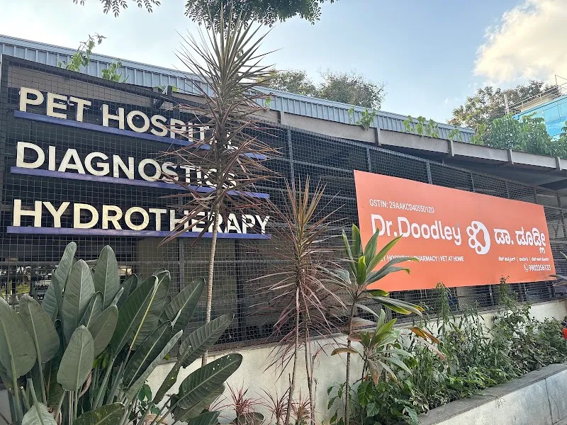 Dr. Doodley Pet Hospital Whitefield – 24×7 photo