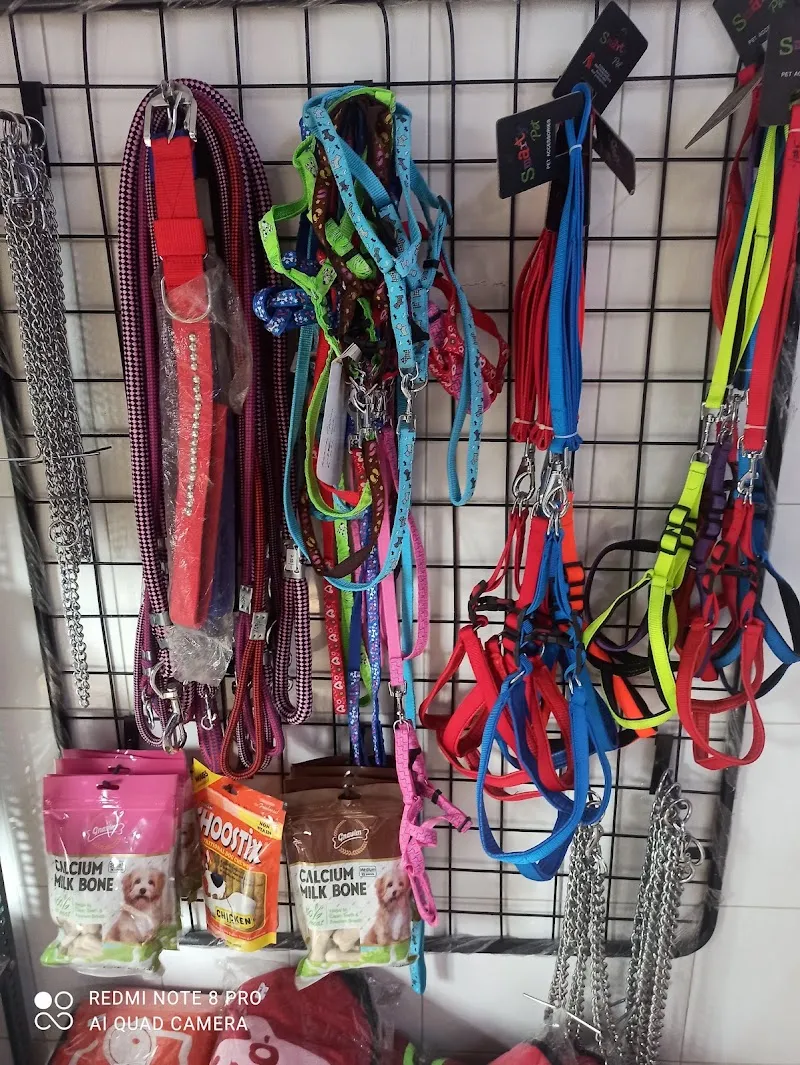 Dr. Gupta’s Pet Care Clinic photo
