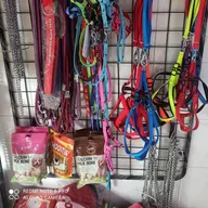 Dr. Gupta’s Pet Care Clinic photo