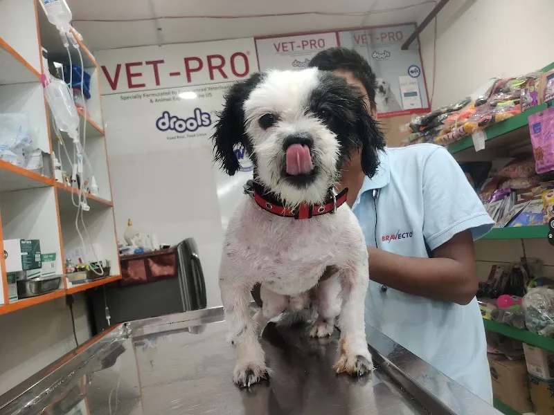 Dr Gyan Pet Clinic & Surgery Centre photo